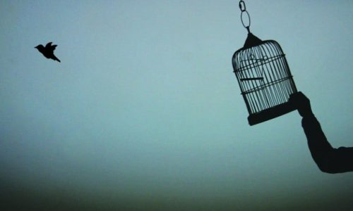 1_Ptnj0eTV6ikWnOl-sv9b0Q